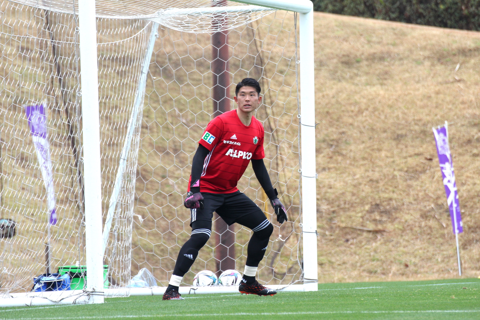 トレーニングマッチの結果 Vs サンフレッチェ広島 松本山雅fc